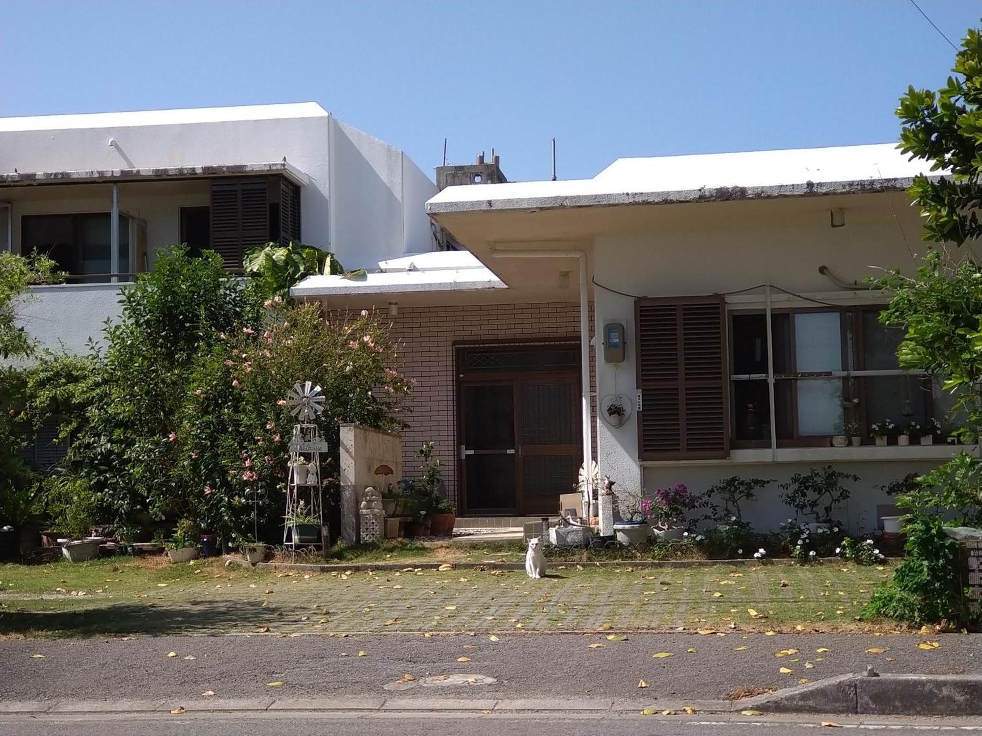 Minshuku Zabaru Hostel Ishigaki  Kültér fotó
